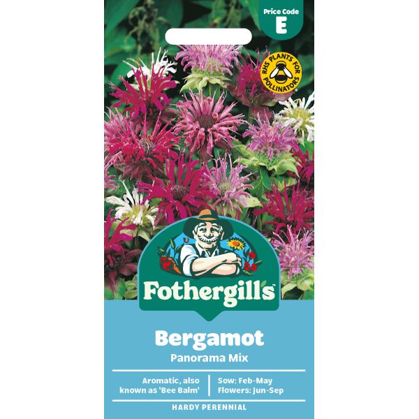 Bergamot Panorama Mixed Seeds