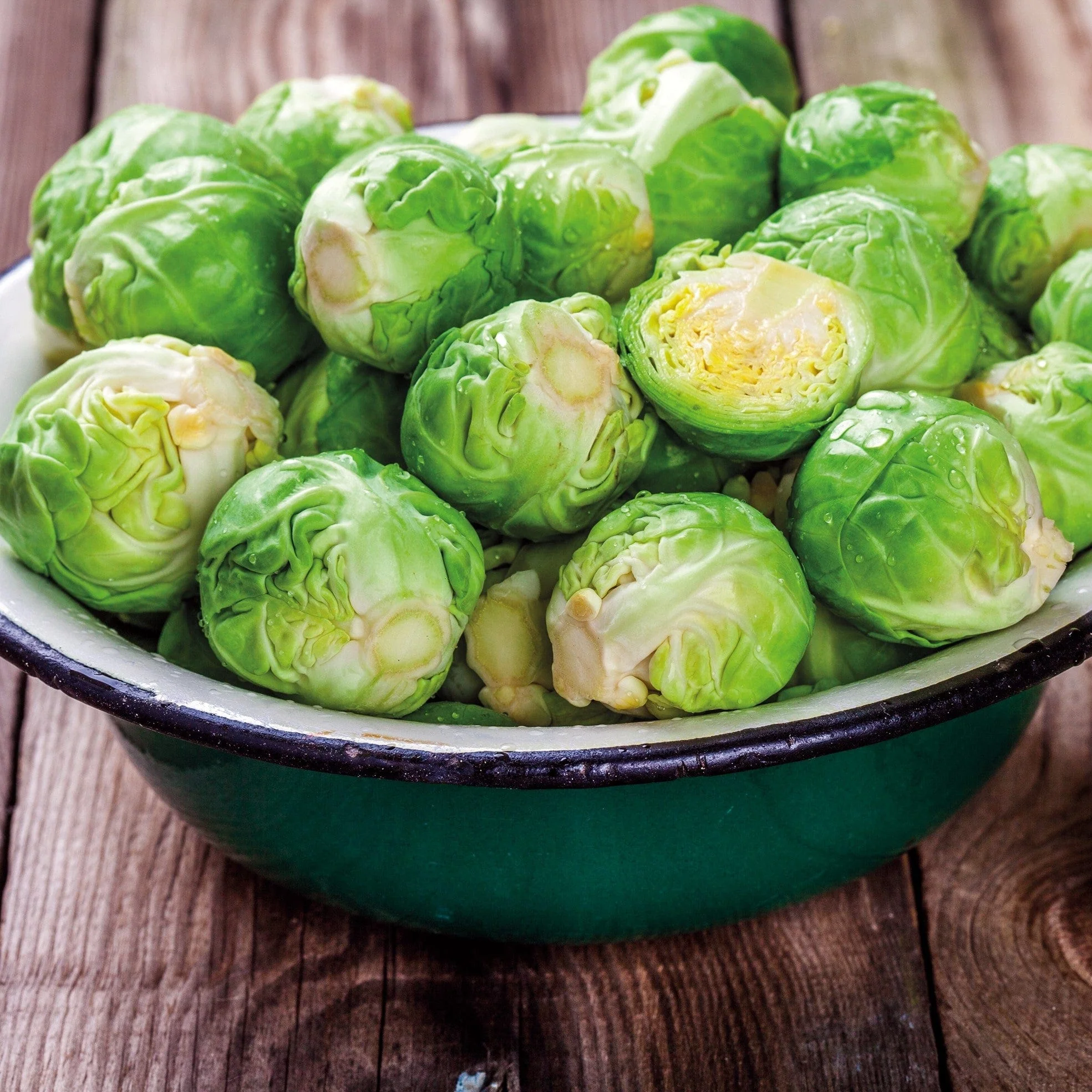 Brussels Sprout Brechin F1 Seeds - Image 3
