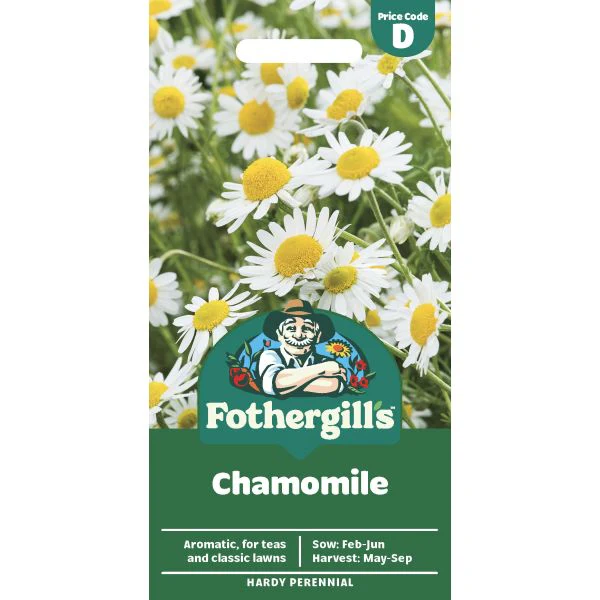 Chamomile Seeds