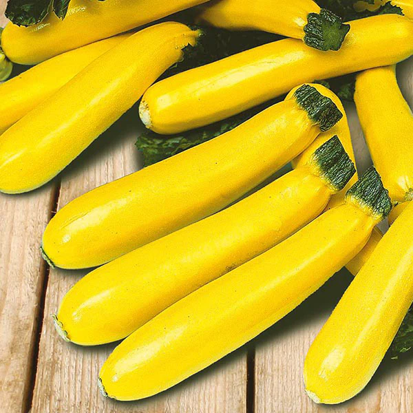 Courgette Soleil F1 Seeds - Image 3