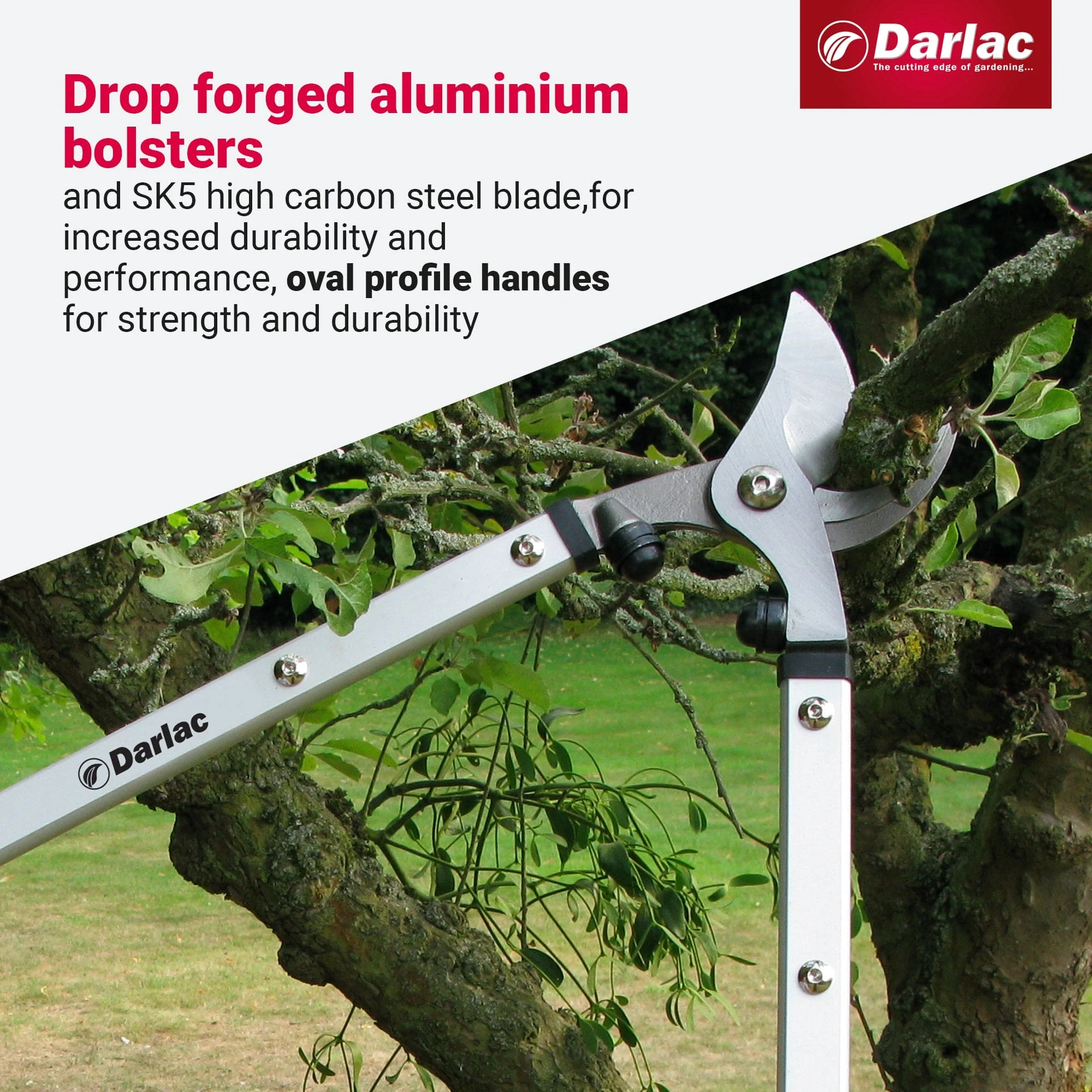 Darlac Expert Bypass Lopper - Image 4