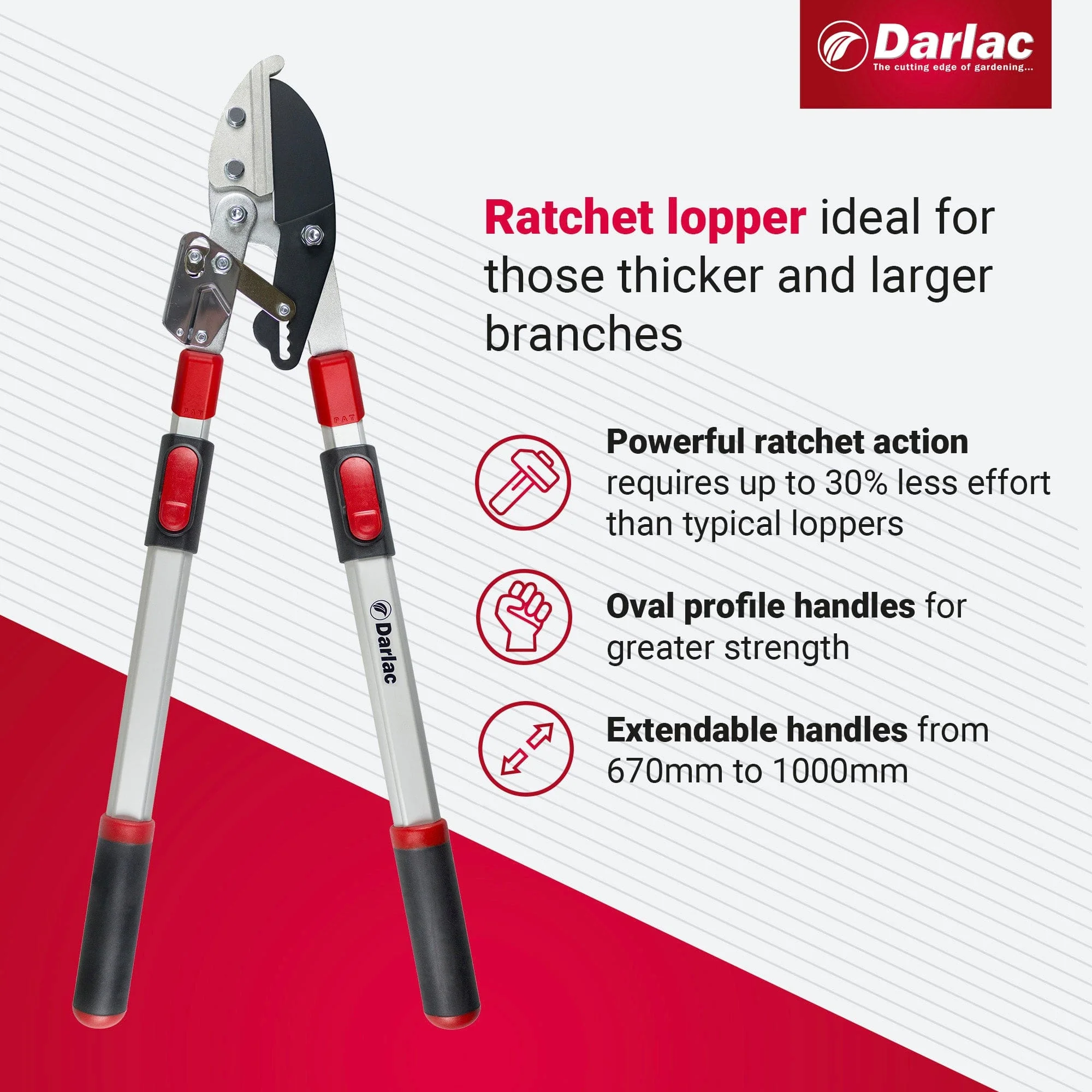 Darlac Telescopic Ratchet Lopper - Image 3
