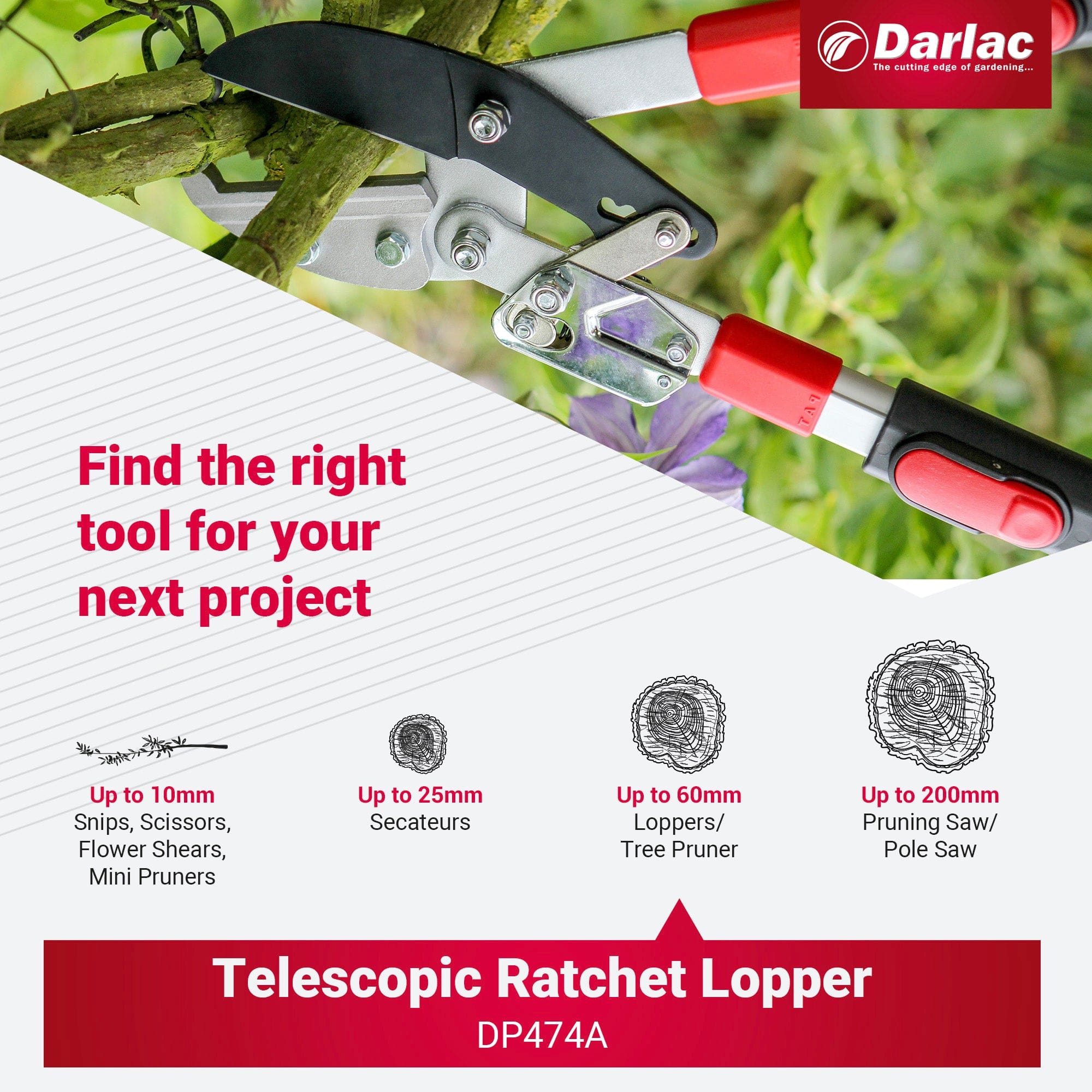 Darlac Telescopic Ratchet Lopper - Image 6