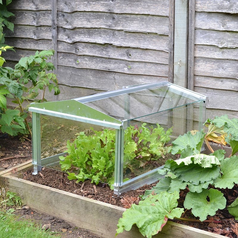 Garden Cloche - Image 2