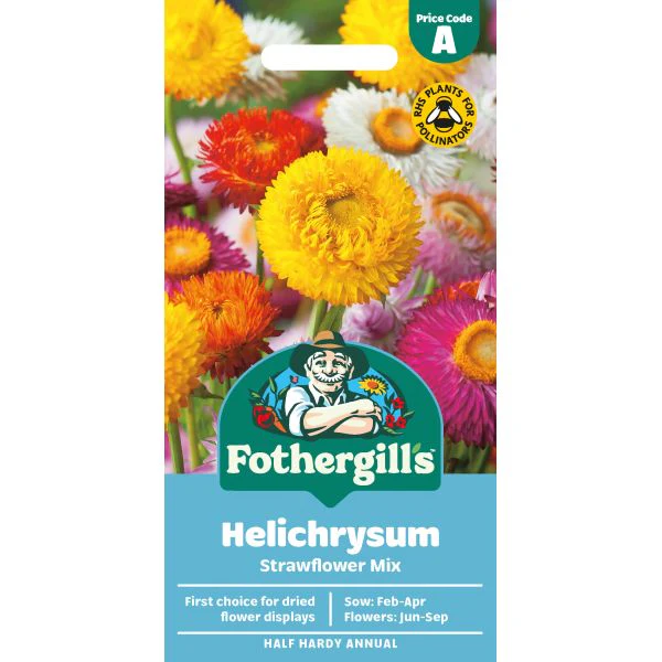 Helichrysum Strawflower Seeds