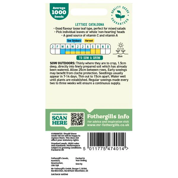 Lettuce Catalogna Seeds - Image 2
