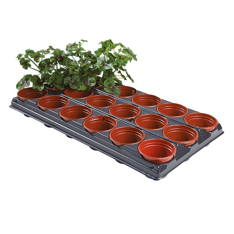 Potting On Propagation Tray & Pots - Image 2