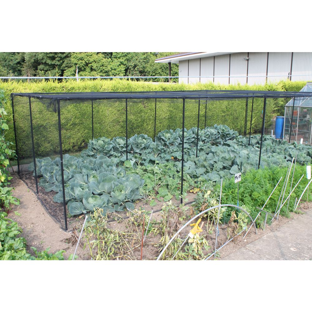 Premium Walk In Aluminium Fruit & Veg Cage with Butterfly Netting - Image 4