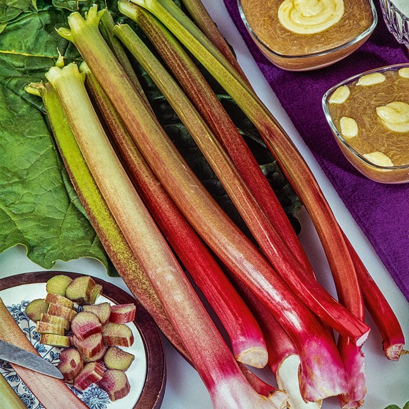 Rhubarb Crumble King Plants - Image 3