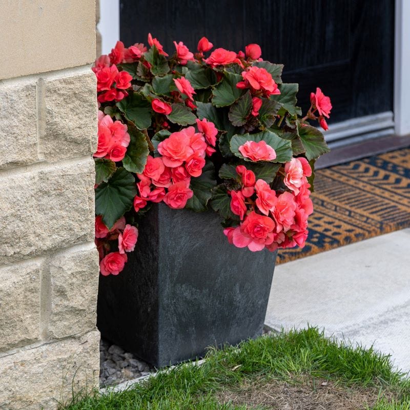 Sonata Recycled and Unbreakable Plant Pot 33cm Slate - Image 5