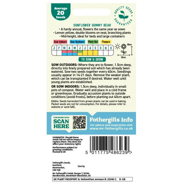 Sunflower Gummy Bear Seeds - Image 2