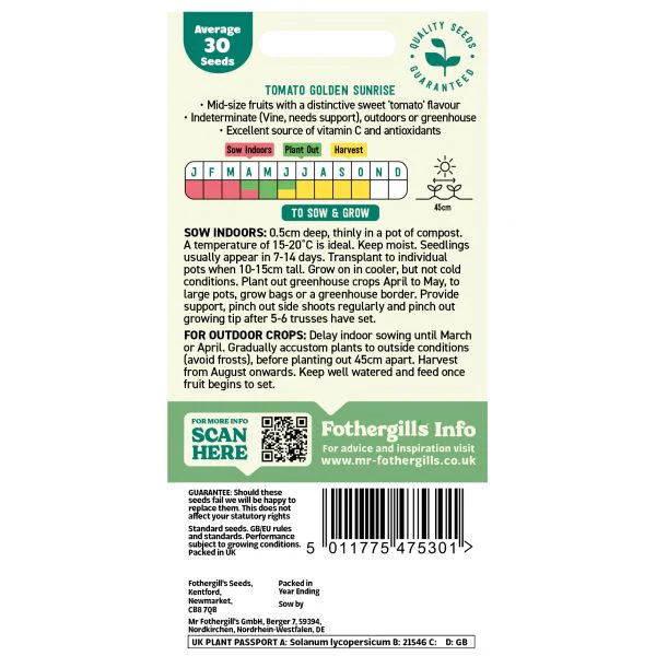 Tomato (Standard) Golden Sunrise Seeds - Image 2